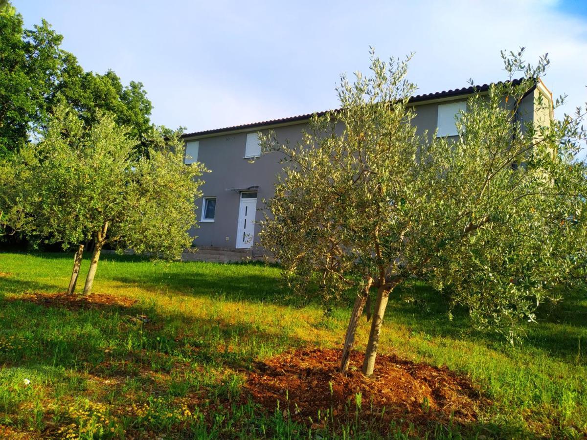 Apartments Valeria Divšići Exterior foto